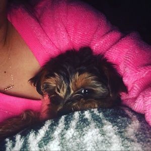 Meet your Posher, Noemi